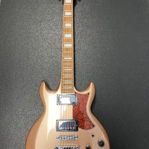 Ibanez 