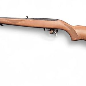 Ruger 10/22 NEW