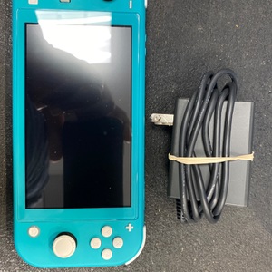 Nintendo Hdh-001 SWITCH LITE 