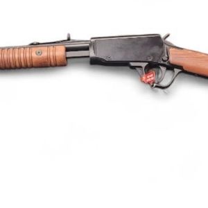Rossi PUMP 22 MAG NEW 